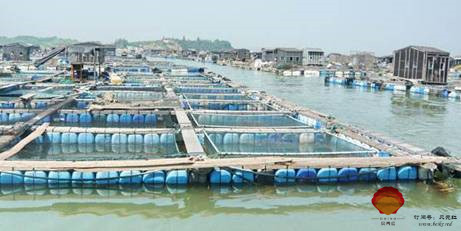 貝類養殖總體介紹
