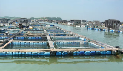 喜訊！饒平縣水產養殖區成功獲評省級示范區