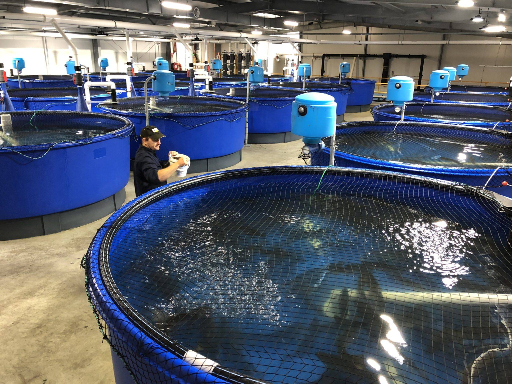 水質、數據與環境 解析水產養殖行業的廣闊發展空間