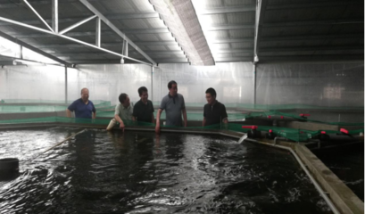 陽澄湖鎮領導深入一線走訪水產養殖企業 助推產業高質量發展