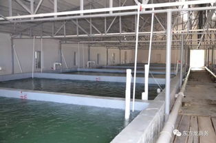 東方龍商務高端水產養殖全國布局項目政府對接會即將召開，共繪產業發展新藍圖